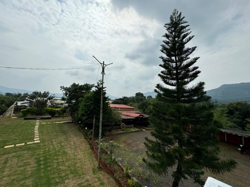 whatsapp image 2025 09 09 at 13.55.24 32c01c39 whatsapp image 2025 09 09 at 13.55.24 32c01c39